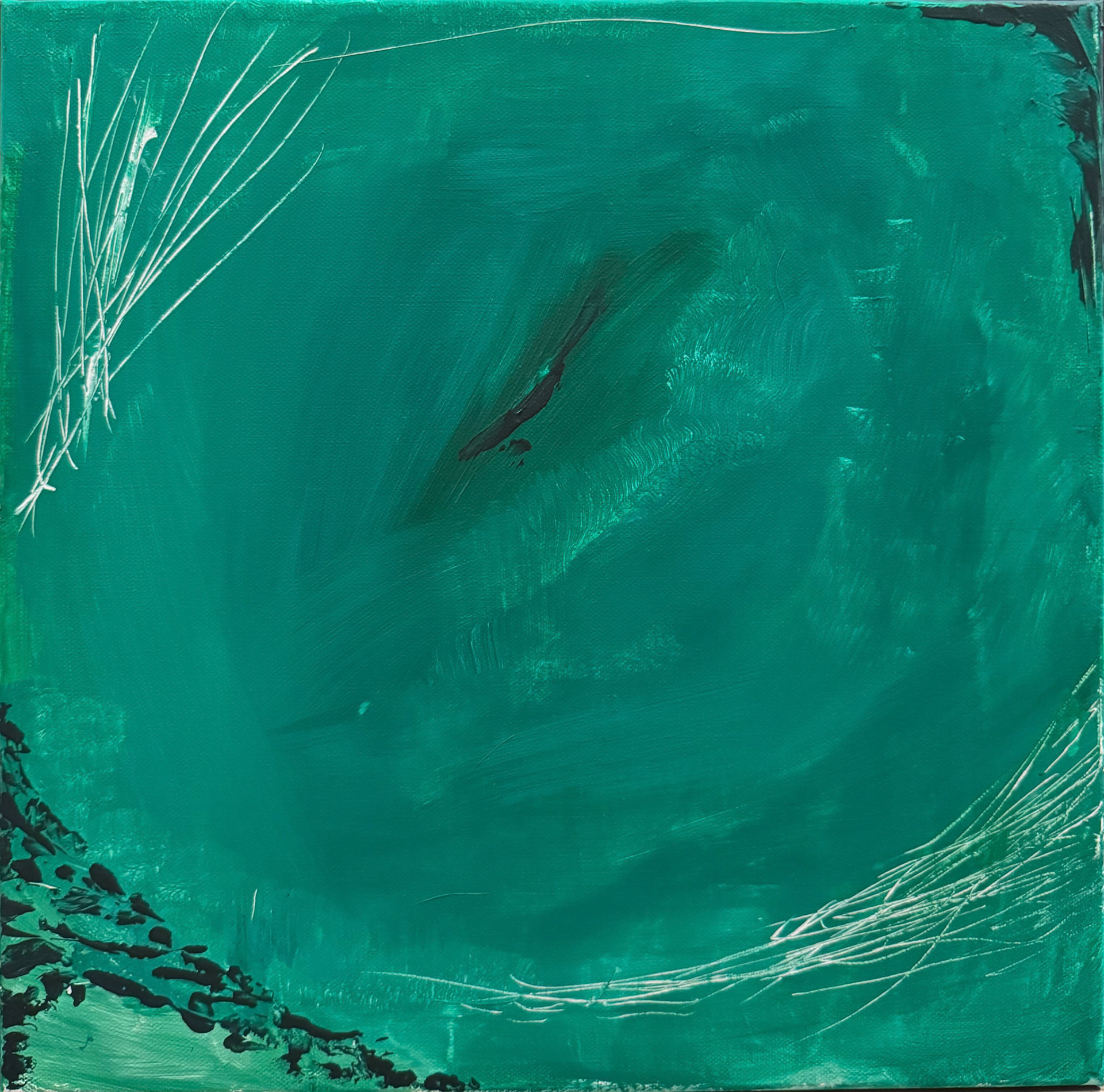 "verdure" 40cm x 40cm, acrylic on canvas